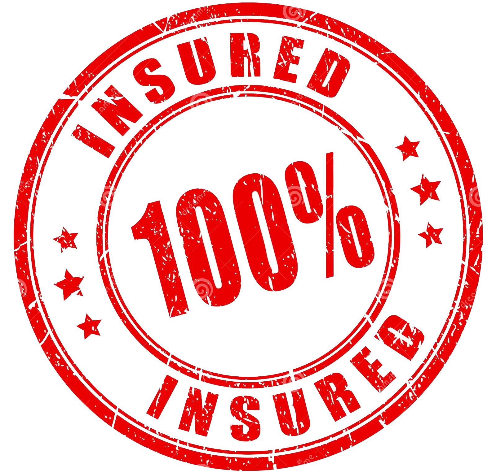 100% insured logo